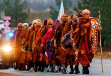 Volunteer for March for Peace Pilgrimage Visit (Feb 7)